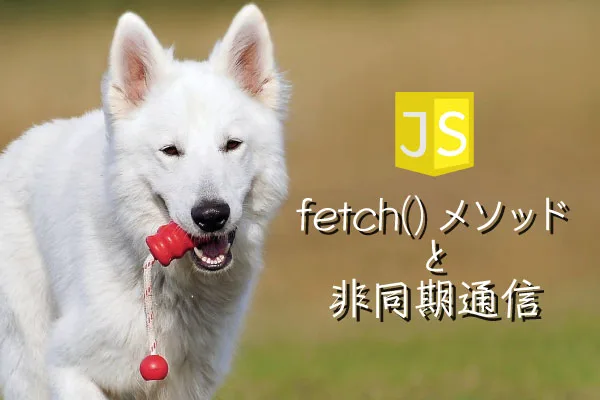 Javascript 初めて学ぶ Fetch メソッドと非同期通信 Breeze