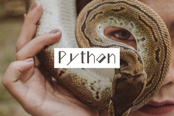 Pythonの概要と環境構築について